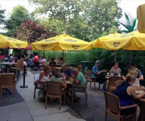 guests enjoying the patio